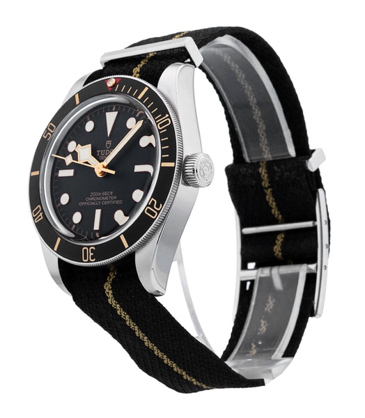 Tudor Black Bay 58 M79030N-0003
